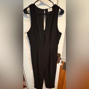 Blank NYC Black Sleeveless V-Neck Jumpsuit